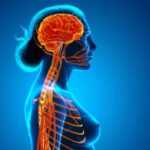 Kronični umor: što nam naša crijeva pokušavaju reći?