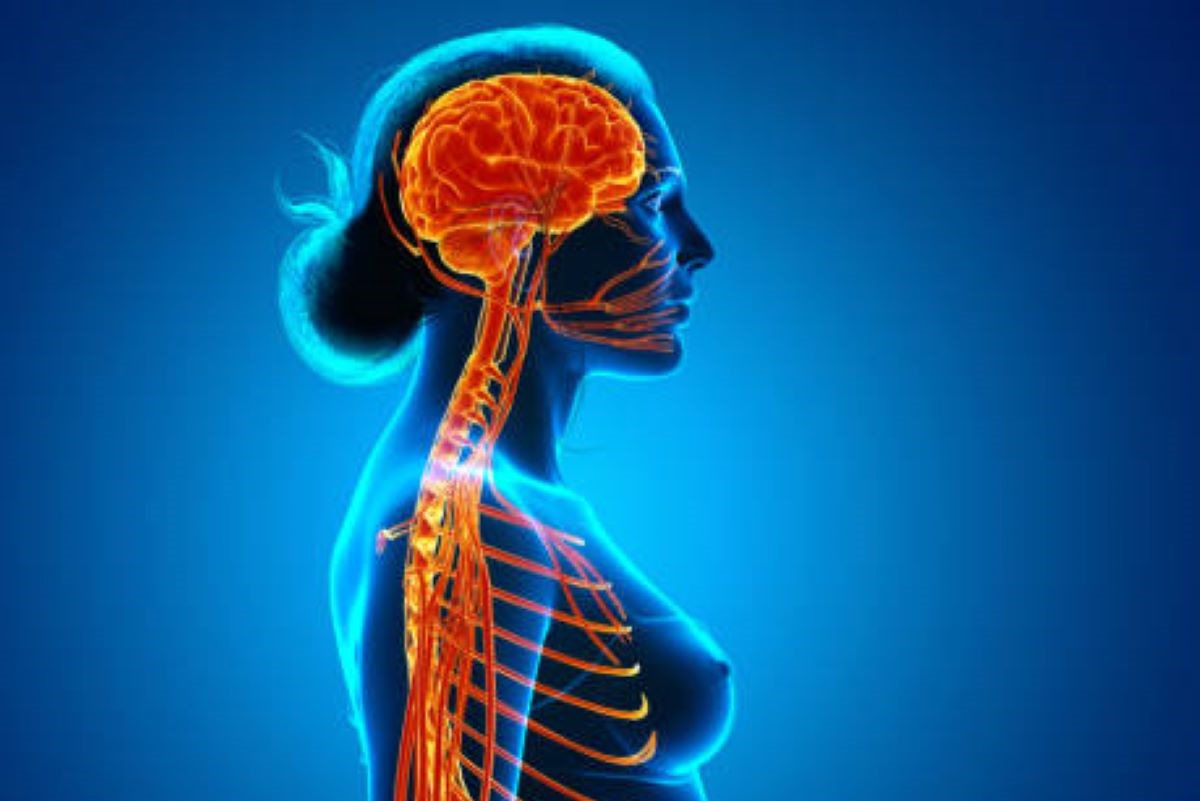 Kronični umor: što nam naša crijeva pokušavaju reći?